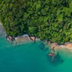 Tropical island coastline with lush green vegetation and blue water, illustrative of Andaman island scenery