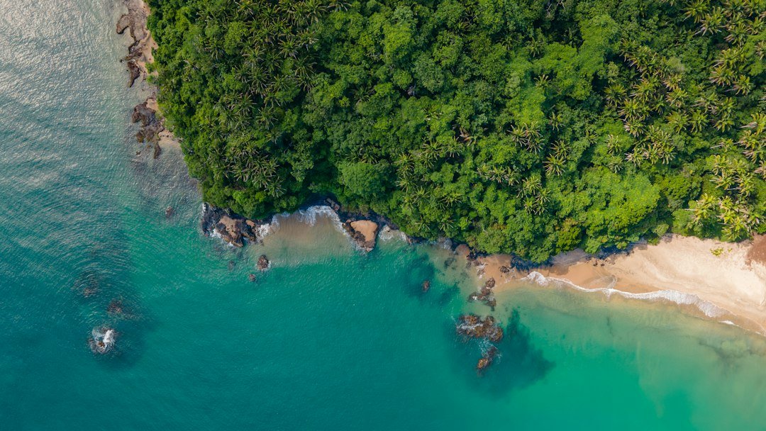 Tropical island coastline with lush green vegetation and blue water, illustrative of Andaman island scenery